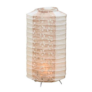 �G�Y(Hideshime) ���~ �~�� �~�j �R�[�h���X LED �d�r�t �y�����΁z���~ �� Z-20