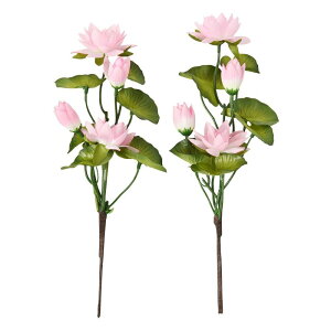 shingon.shop  dp  @ ͂ 2{Zbg i΁j