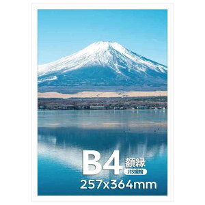 Serwrsw z B4 y tHg t[ Ǌ| 㗼p 36.4x25.7cm |X^[ G PVC  1