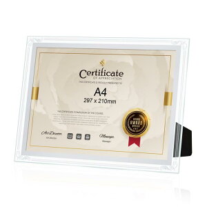 WeColor ŃKX A4CtHgt[Cʐ^ āC|X^[ ӏ ܏z ؖ Mtg X^h ^CvAKis