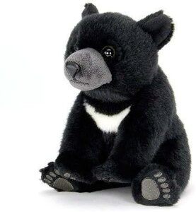 J[^ cLmO} ʂ (₳G/A) ܂̂ʂ F (l` }XRbg) a Mtg v[g (j2xς)  /NX}X NX}Xv[