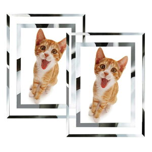 ʐ^ 2l tHgt[ Zbg 2 ̓ LO Vz Mtg