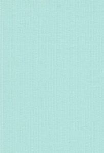 GXPg Fp ~[YRbg  A4 ݂ 10 41110013