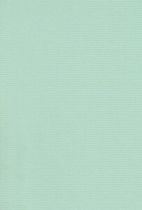 �G�X�P���g �F��p�� �~���[�Y�R�b�g�� ���� A4 ������ 10�� 41110012