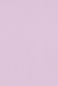 GXPg Fp ~[YRbg  A4 ӂ 10 41110008