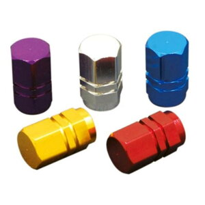 DURA-BOLT(�f�����{���g) �G�A�o���u�L���b�v �w�L�T�S�� �A���~ �u���[ 2�Z�b�g DBV755B