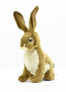 nT(HANSA) WbNrbg ʂ 22x13x30cm AN No.5911