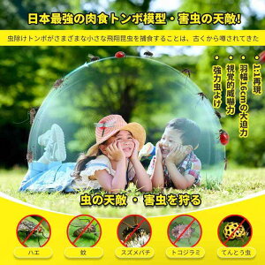 16cm Ij}v  g{N Ki x {ƂقړTCY  I悯 g{ PVCގ   ނ   x_ Ԍ  oR kނ Lv AEg