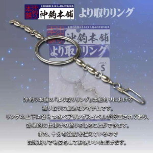 ދ ޖ{ [Cނ xAO 胊O S^M^LTCY [CO gO (S)