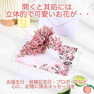 Sweet Plus  O[eBO J[h bZ[WJ[h яo |bvAbv 3D 莆 j 񂹏 a LO t ()