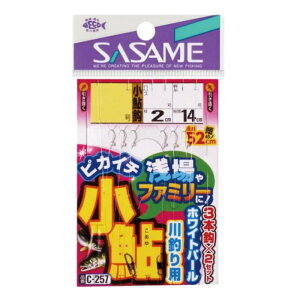 ߐjiSasamej C|257 sJC`zCgp[3{b 2