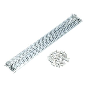 TUCKBOLD ]ԃX|[N oCNzC[X|[N Vo[g[jbv 1Zbg 14G 297mm  Yf| bL