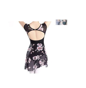 [v_X] ProDance ԕ XO[ O[2 I^[h oG fB[X q 킢 IV c (XO[, M)