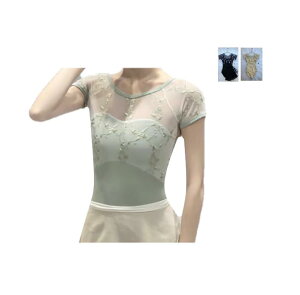 [v_X] ProDance n[tJbv  n[t hJ oGI^[h  PLHA031MA (AC{[, XL)