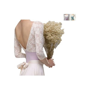 [v_X] ProDance [X OX[u 5F  oGI^[h fB[X PLL018N (XXL, sN)