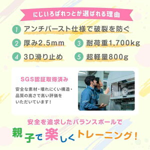 [ɂς] oX{[ 65cm 4F 2.5mm ω׏d1700kg W{[ tBbglX{[ eq l q A`o[Xg Ct (u[, 65cm)