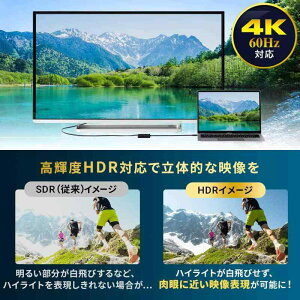 T_CNg Type-C HDMI ϊA_v^ 4K/60Hz HDRΉ PD100W iPad/Switch L@ELfΉ P[u20cm ubN 500-KC038