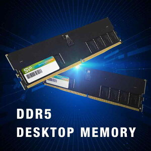 VRp[ DDR5 64GB (2x32GB) 4800MHz (PC5-38400) 288s CL40 1.1V UDIMM Non-ECC fXNgbv RAM Rs[^[  SP064GBLVU480F22