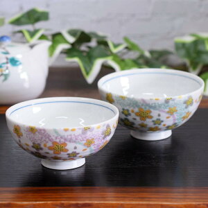 �a���̑� �y�A ���ђ��q ������� �H�� ��J�� �v�w���q �Ȑ��� ���� �����q �u�����h �a�H��