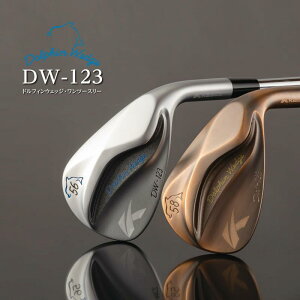 LXR(Kasco) htBEFbW DW-123 N.S.PRO Zelos7 R fBXdl 60