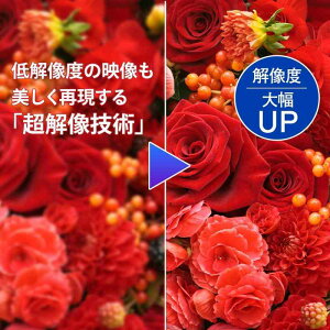 IODATA j^[ 31.5C` WQHD ADSpl (HDMI×3/DisplayPort/VESAΉ/Xs[J[t/yT|[g/{[J[) LCD-MQ322XDB-A/UE