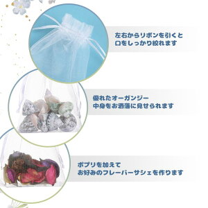 NALER bsO  I[KW[В 120 WG[ [  Mtg n  10 * 15cm