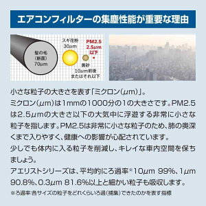 BOSCH({bV)_Cnc/g^ԗpGARtB^[ AGXgtbV (RECX^Cv) AFS-T08