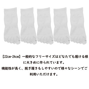 [XKAOPUTE] ܖ{w\bNX Ԃ fB[X  X|[cp jO\bNX V[g  5{w C ʋC  L 5Zbg (zCg Ԃ)