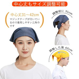 [BIGHAS] Op lp Vv n }WbNe[vt  jp  Ɩp ƒp | e@ p jp fB[X JtF (1, fjlCr[)