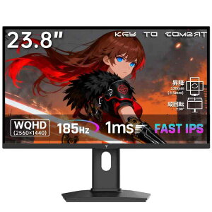 KEY TO COMBAT 24�C���` �Q�[�~���O���j�^�[ WQHD(2560x1440) Fast IPS/185Hz/1ms sRGB127% 400cd/�������[�g�� HDR400 ��E3 ��u���[���C�g �t���b�J�[�t���[ Adaptive