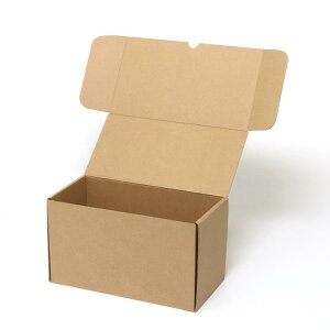 yP[X̔zHEIKO  i`{bNX Z-29 CD20[ n 006202910 1P[X(10×5 v50)