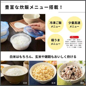 ^CK[@r(TIGER) ъ IH 5.5  ԍ Ⓚуj[ ʍj[ JPW-H100K ubN