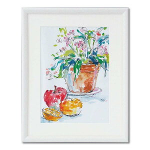 ��� �z�� �X�P�b�`�z �p���N F4�� �z���C�g H00300406