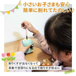 deli dM sN Ή\ȉM : M/FM (a6.5-8mm) ^ : VA13 / ҂ yVV[vi[  [ [RƊۂ݂̂fUC] [킢pXeJ[] [