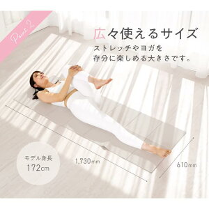 ACR(ALINCO) K}bg ܂肽 4mm ~߉H RpNg ^ y K seBX g[jO}bg Xgb`}bg ܂肽݃K}bg FYG614P sN