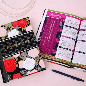 fBAJ[Y 3NL SɋE̖ ȂyApLz 1102-G04-010