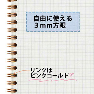 }} m[g ZvgN[ A5 3mm r 100 XpCV[R[ sN N768-08