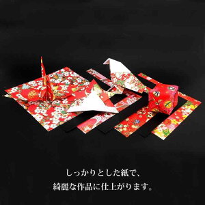 GqH a FT㎆  15cmp 10 TZM-5015R