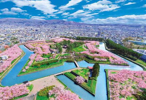 y{zro[ 300s[X WO\[pY ʂܗŊsi26×38cmj300-126