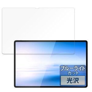 FILMEXT �t�B���� NEC LAVIE Tab T14 T1495/HAS (14.5�^���C�h�E2024�N�t���f��) �p �ی�t�B���� �u���[���C�g�J�b�g ������ ���{��