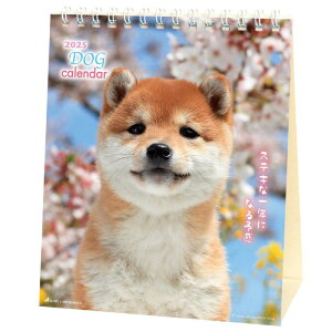 ANeBuR[|[V 2025N J_[  ghbO 25ACL-536 2025N 1n܂