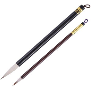 M KZbg 3 M 7 וM  {g |M  s w w wZʗp gt