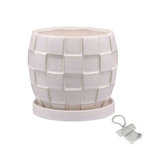 J-kitchens Select �ԕr ���� �A�ؔ� �^�C�� �f�U�C�� �|�b�g B �z���C�g ��15xH13cm �I���W�i���^�O�t