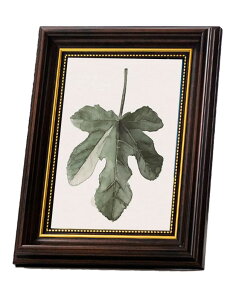 upFRAME �ʐ^���� ������� L�� 2l �n�K�L �A���e�B�[�N ���B���e�[�W�� ������ �Ǌ|�� ��� �u���|�����p �c�����p �t�H�g�t���[�� �z�� (A4, ��)