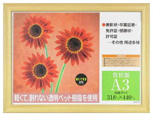 �C���^ �z�� �܏�z �ؒn �������t���[�� PET A3 PSMSP-28-SP-PET-SP-A3