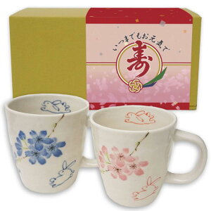 �P�� �j�� �v���[���g �}�O�J�b�v �y�A �Z�b�g �������� ���� ���Z�� ������ �M�t�g��ς�