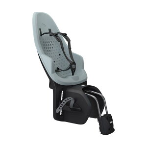 Thule Yepp 2 Maxi-Frame Mount - Alaska