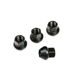 RAYS(���C�Y) 17HEX ���[�V���O�i�b�g M12×1.25 BK(�u���b�N) 25mm�i�V���[�g�^�C�v�j 16�p�b�N 74130000225BK