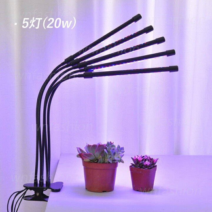 楽天市場】植物育成ライト led 観葉植物 省エネ 多肉植物 家庭菜園 