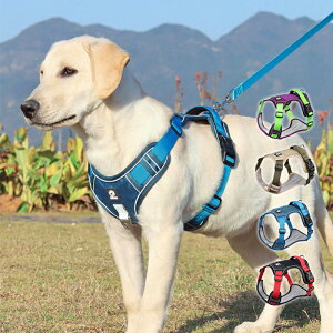 ybgn[lX  L [h ϋv v  @\  `bL 4TCY  ʋC  ^ ^ K ł AEghA ɂ [ht